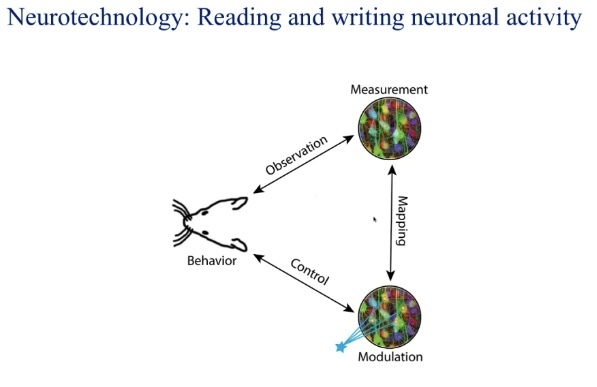 data science day 2020 neurotechnology